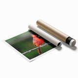 Vibrant cardinal wall art print showcasing detailed red birds perched on branches, designed for home decor. Perfect for bird lovers and nature enthusiasts.