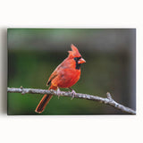 Vibrant cardinal wall art design on stretched canvas, showcasing bright red and green colors against a natural backdrop, perfect for home decor and bird enthusiasts.