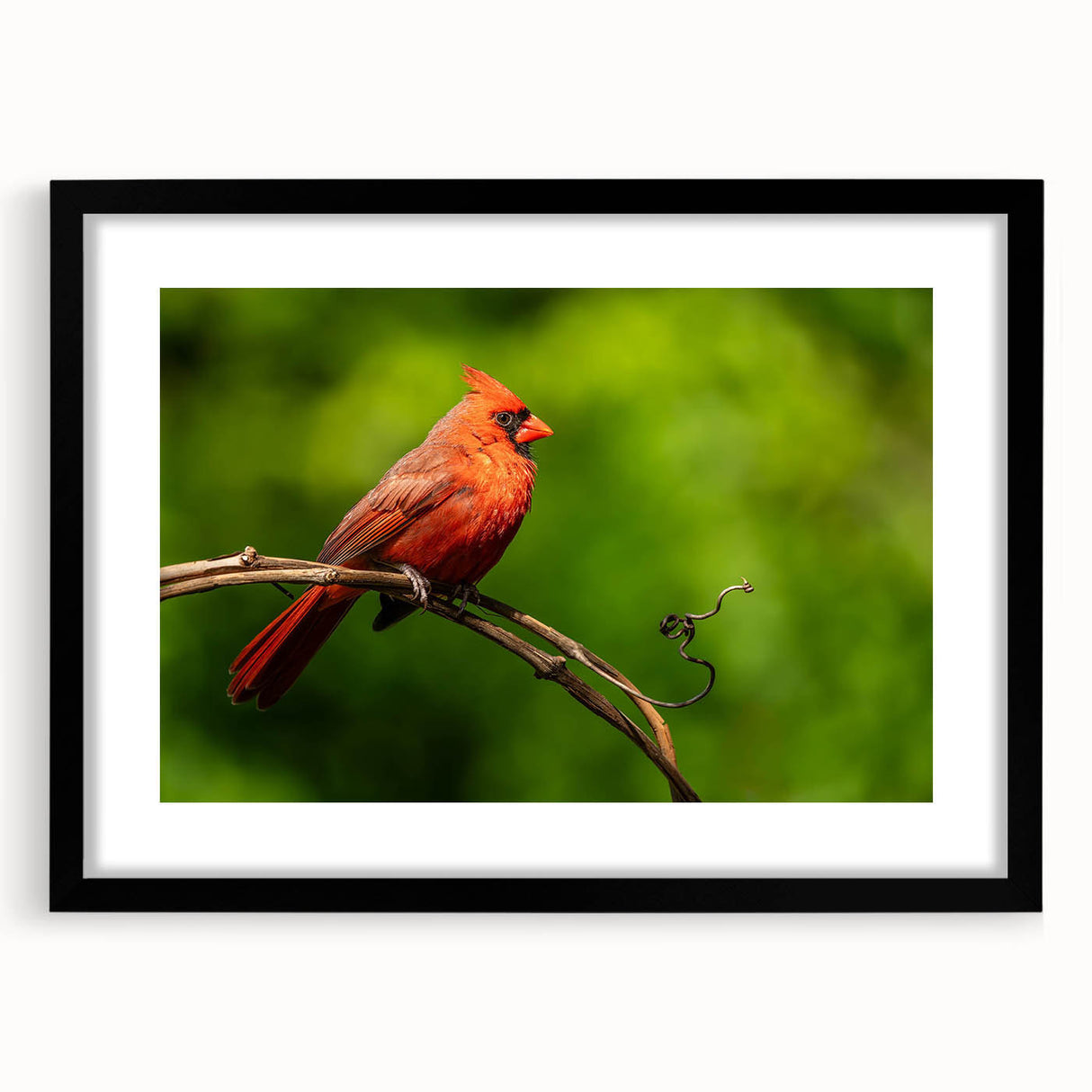 Framed art print featuring vibrant red cardinal birds perched on delicate branches, set against a soft neutral background, ideal for nature-inspired home decor.