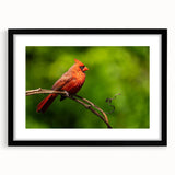 Framed art print featuring vibrant red cardinal birds perched on delicate branches, set against a soft neutral background, ideal for nature-inspired home decor.