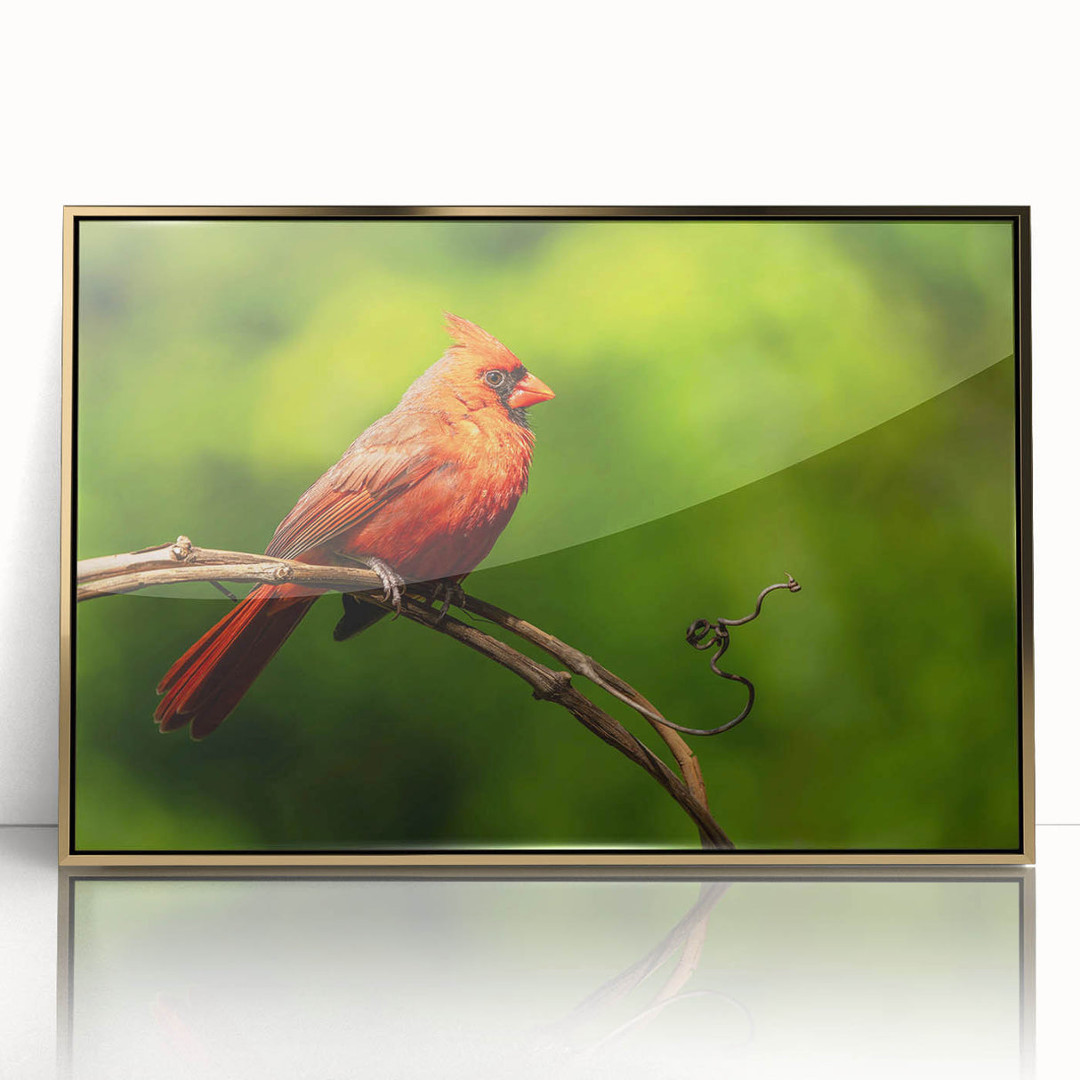 Framed wall art featuring a vibrant cardinal bird design with a gold-acrylic finish, perfect for enhancing home decor and adding a touch of nature-inspired elegance.