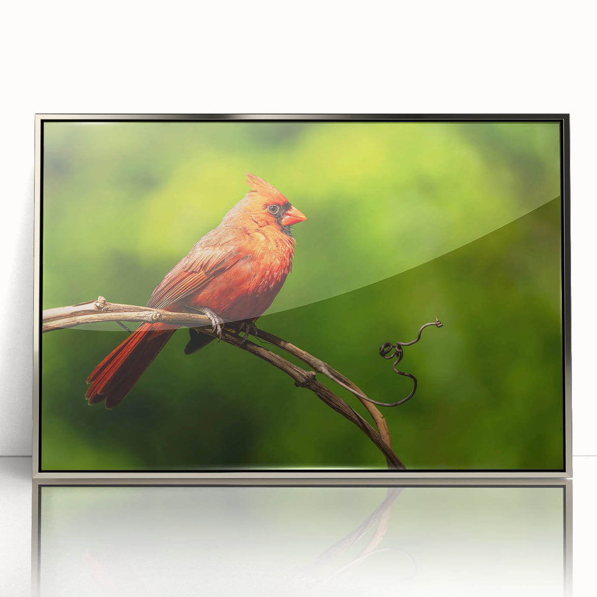 Framed wall art featuring a vibrant cardinal bird design with intricate details against a silver background, perfect for adding an elegant touch to any decor.
