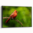 Framed wall art featuring a vibrant cardinal bird design on canvas, displayed in a sleek black frame, ideal for enhancing home decor and adding a touch of nature.