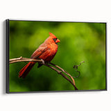 Framed wall art featuring a vibrant cardinal bird design on canvas, displayed in a sleek black frame, ideal for enhancing home decor and adding a touch of nature.