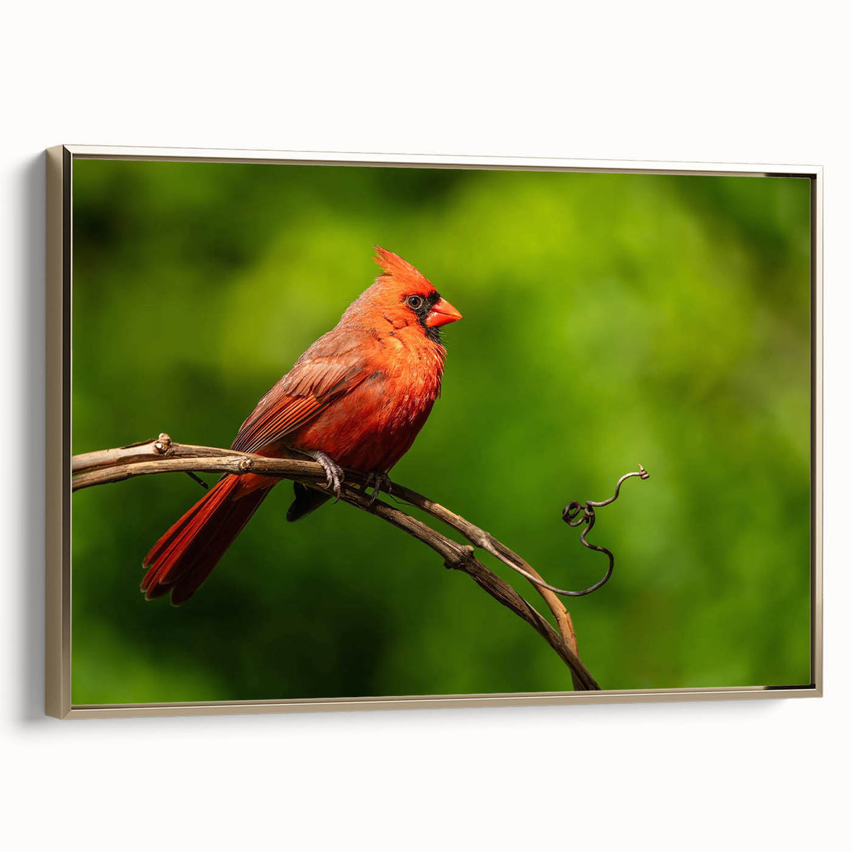 Framed canvas wall art featuring a vibrant cardinal design in gold tones, showcasing a side view against a neutral backdrop, perfect for home decor.