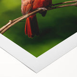 Vibrant rolled canvas depicting a cardinal bird on a branch, showcasing detailed feathers and bright red coloration, perfect for nature-themed decor.