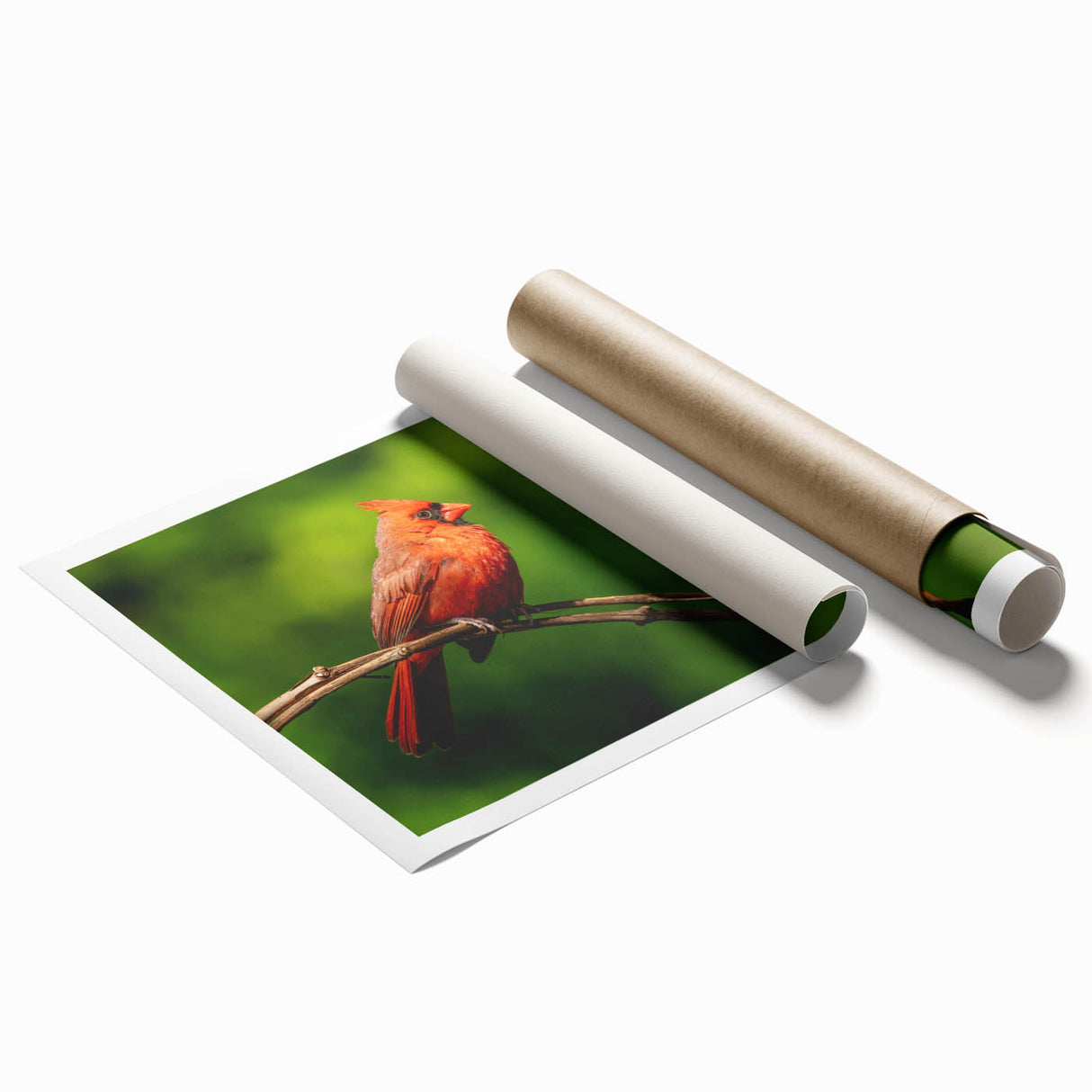 Vibrant cardinal wall art design showcasing a detailed illustration of a red cardinal perched on a branch, perfect for nature-themed home decor.