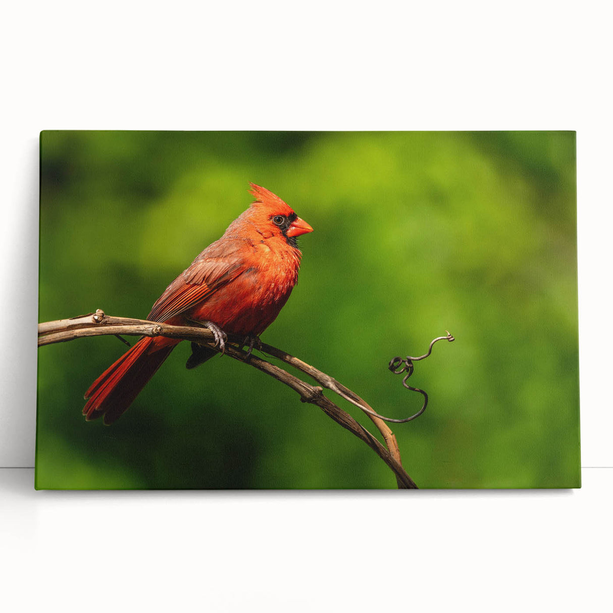 Vibrant cardinal bird canvas wall art featuring rich red and green hues, showcasing detailed feathers and a natural setting, perfect for home decor.
