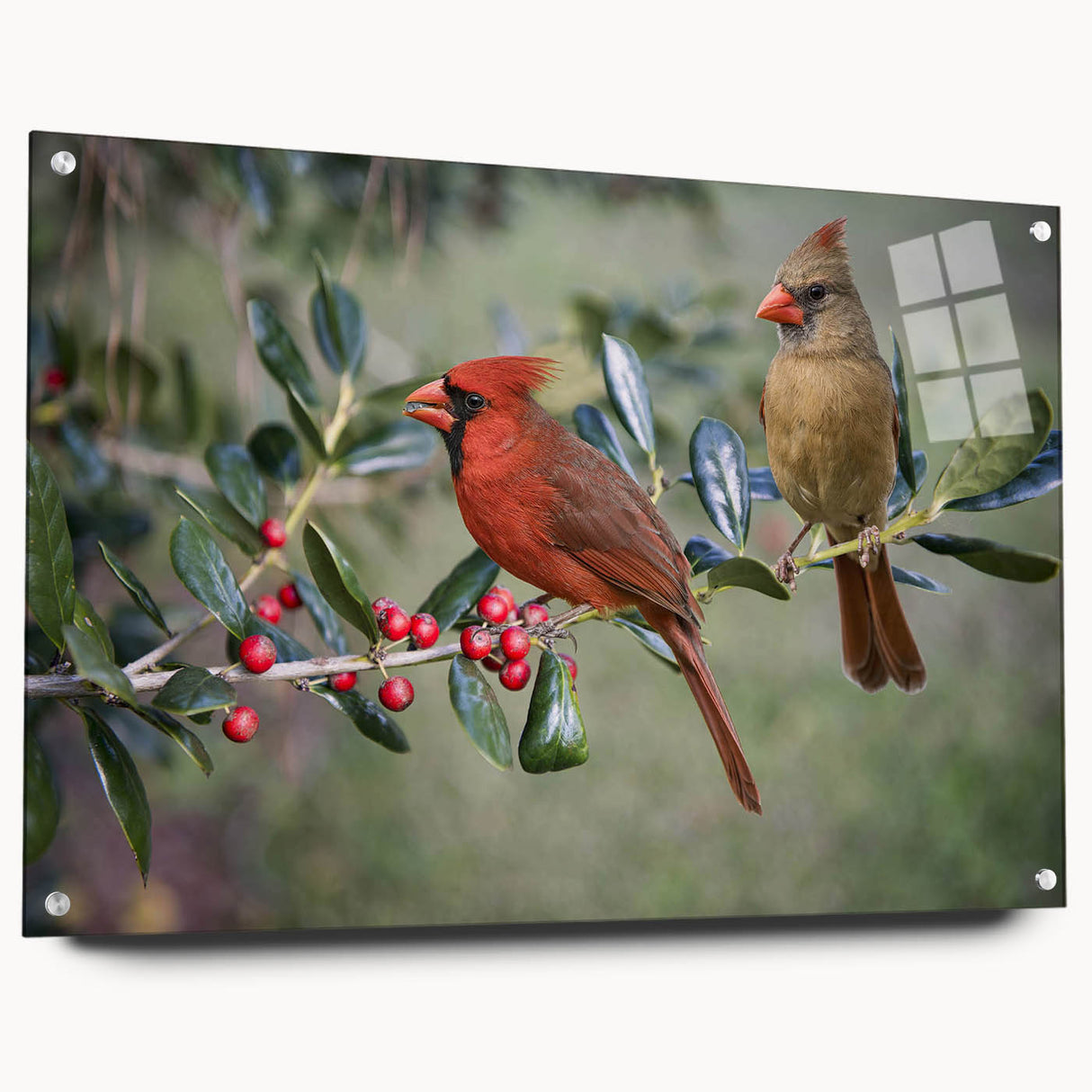 Acrylic wall art collection showcasing a vibrant cardinal design, displayed from a side view with visible pins, emphasizing its artistic details and colors.