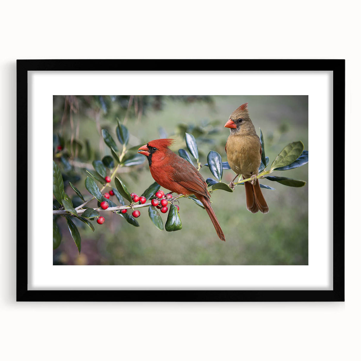 Framed wall art featuring a vibrant cardinal bird design on a black background, showcasing intricate details and a modern aesthetic, perfect for home decor.