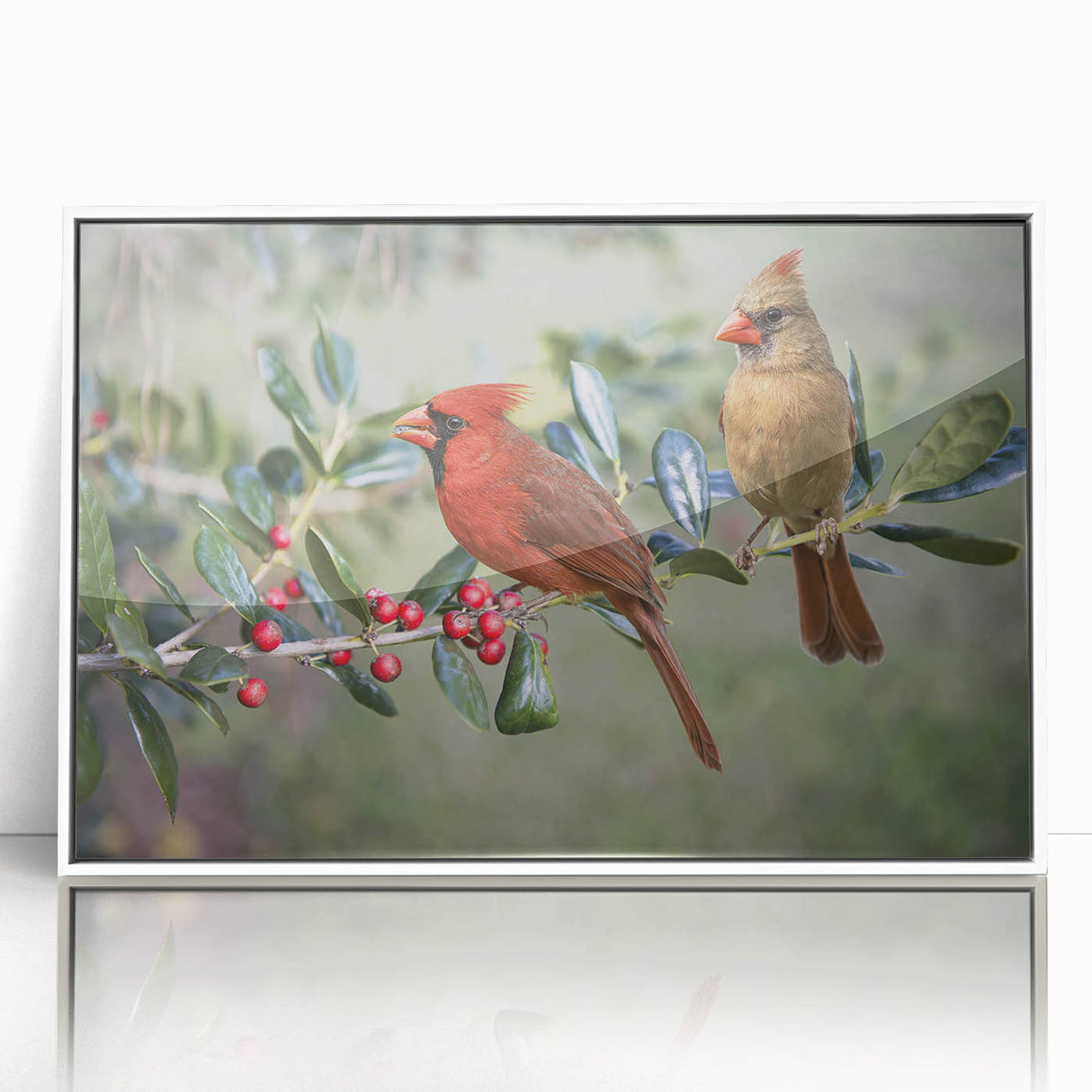 Framed wall art featuring a vibrant cardinal bird design in a white frame, showcasing intricate details and bright colors, perfect for nature-inspired decor.