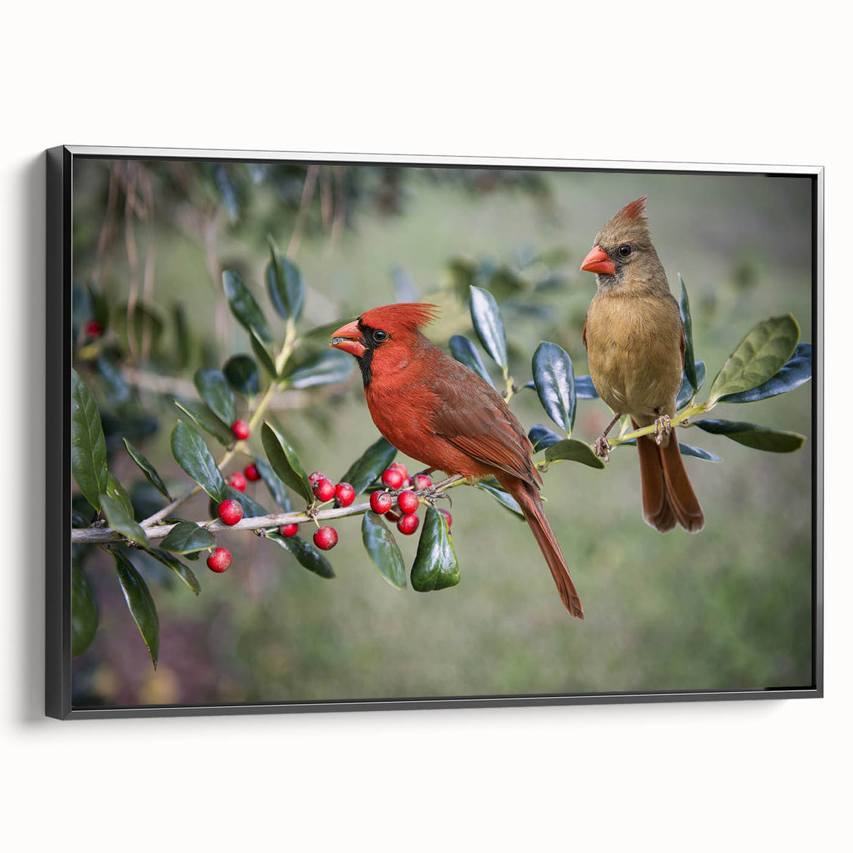 Framed canvas wall art featuring a vibrant cardinal bird design, presented in a sleek black frame, showcasing colorful details against a neutral background.