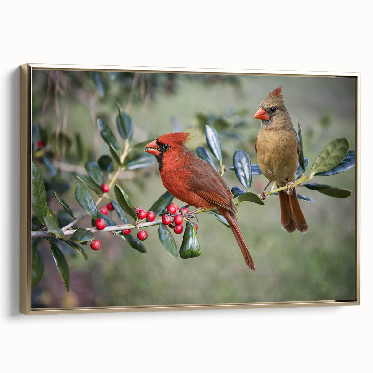 Framed canvas wall art featuring a vibrant cardinal bird design in striking red and gold hues, elegantly displayed with a sleek gold frame, perfect for home decor.