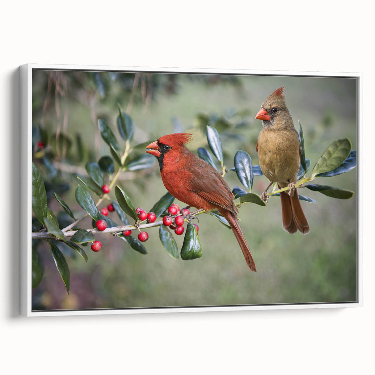 Framed wall art showcasing a vibrant cardinal design on a textured canvas, displayed against a white backdrop with a side view highlighting its elegant frame. Perfect for bird lovers and home decor enthusiasts.