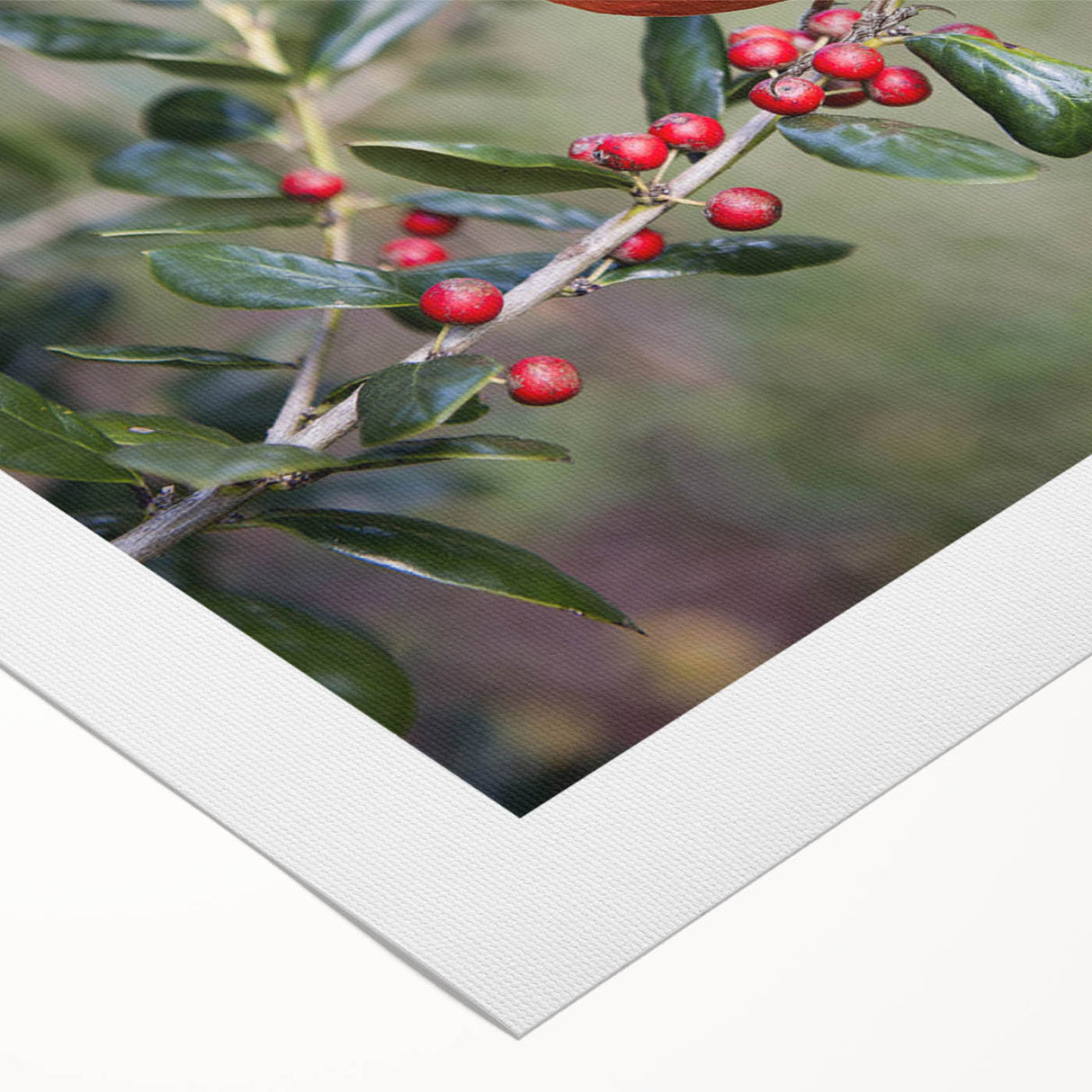Vibrant rolled canvas art featuring a striking cardinal design, showcasing rich red and green hues, perfect for enhancing home decor or office spaces.