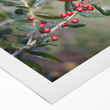 Vibrant rolled canvas art featuring a striking cardinal design, showcasing rich red and green hues, perfect for enhancing home decor or office spaces.