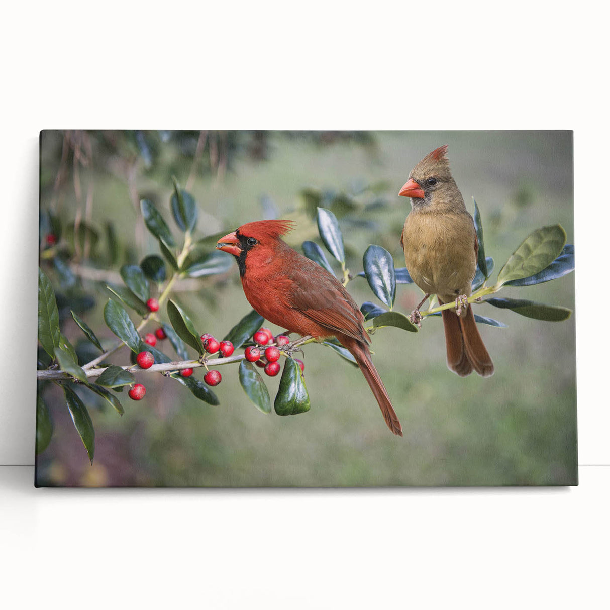 Vibrant red cardinal perched on a branch in a serene woodland setting, depicted on stretched canvas wall art, ideal for nature lovers' home decor.