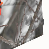 Close-up of a vibrant cardinal bird wall art piece, showcasing intricate details and rich colors on acrylic glass, ideal for adding nature-inspired decor to any space.