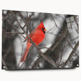 Vibrant cardinal wall art design displayed in acrylic glass frame, showcasing rich red and green colors, perfect for home decor enthusiasts seeking nature-inspired artwork.
