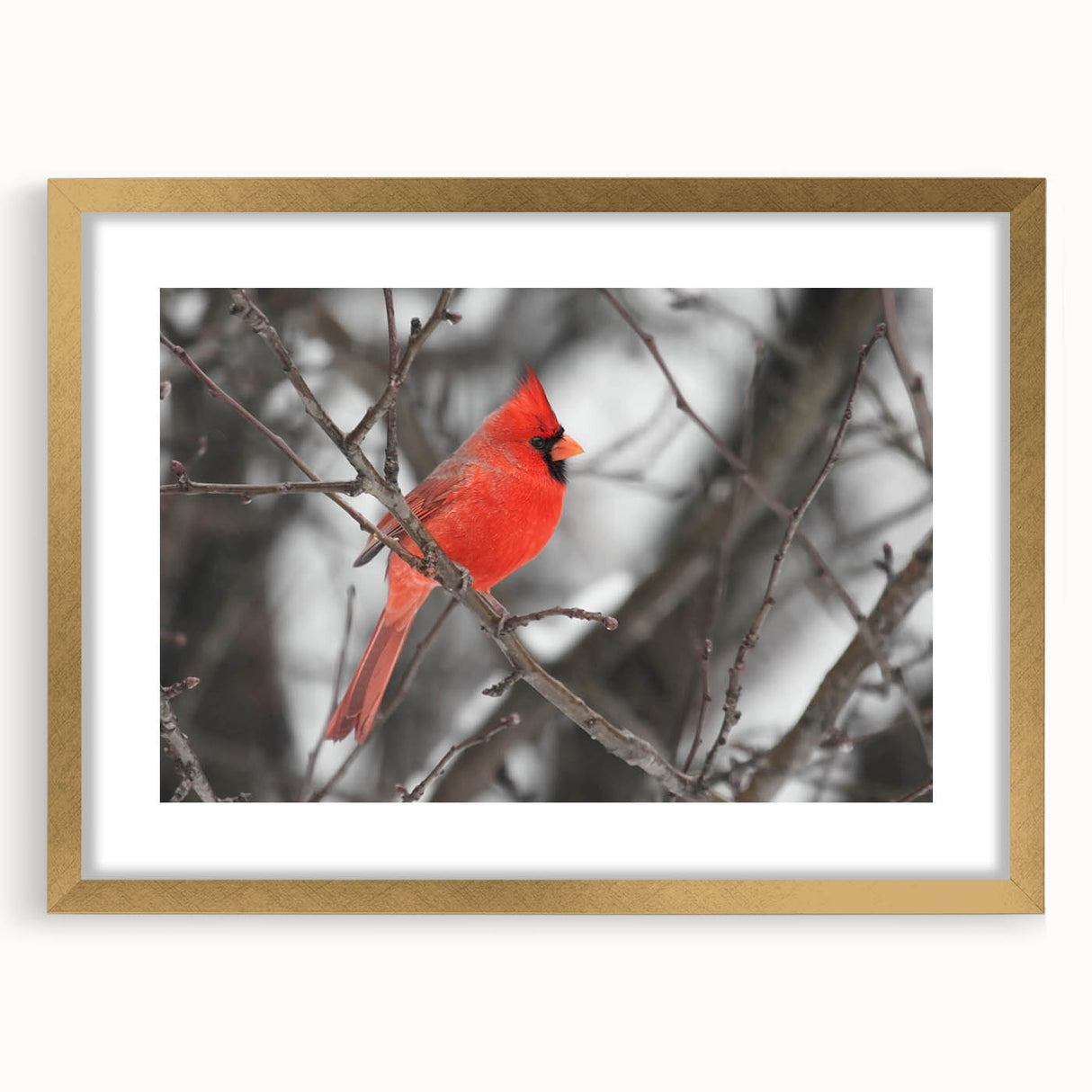 Framed cardinal wall art design in gold matting, showcasing vibrant red and green colors, perfect for home decor or nature-themed interiors, highlighting the beauty of birds.