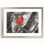 Framed wall art showcasing a vibrant cardinal bird design, accented with a silver mat, perfect for enhancing home decor. Ideal for nature lovers and bird enthusiasts.