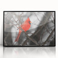 Framed wall art featuring a vibrant cardinal bird design in a black frame, showcasing detailed colors and textures, perfect for home decor enthusiasts.