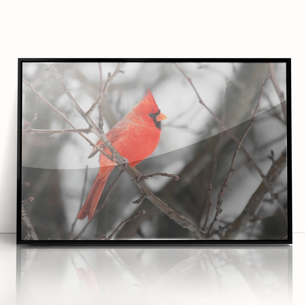 Framed wall art featuring a vibrant cardinal bird design in a black frame, showcasing detailed colors and textures, perfect for home decor enthusiasts.
