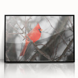 Framed wall art featuring a vibrant cardinal bird design in a black frame, showcasing detailed colors and textures, perfect for home decor enthusiasts.