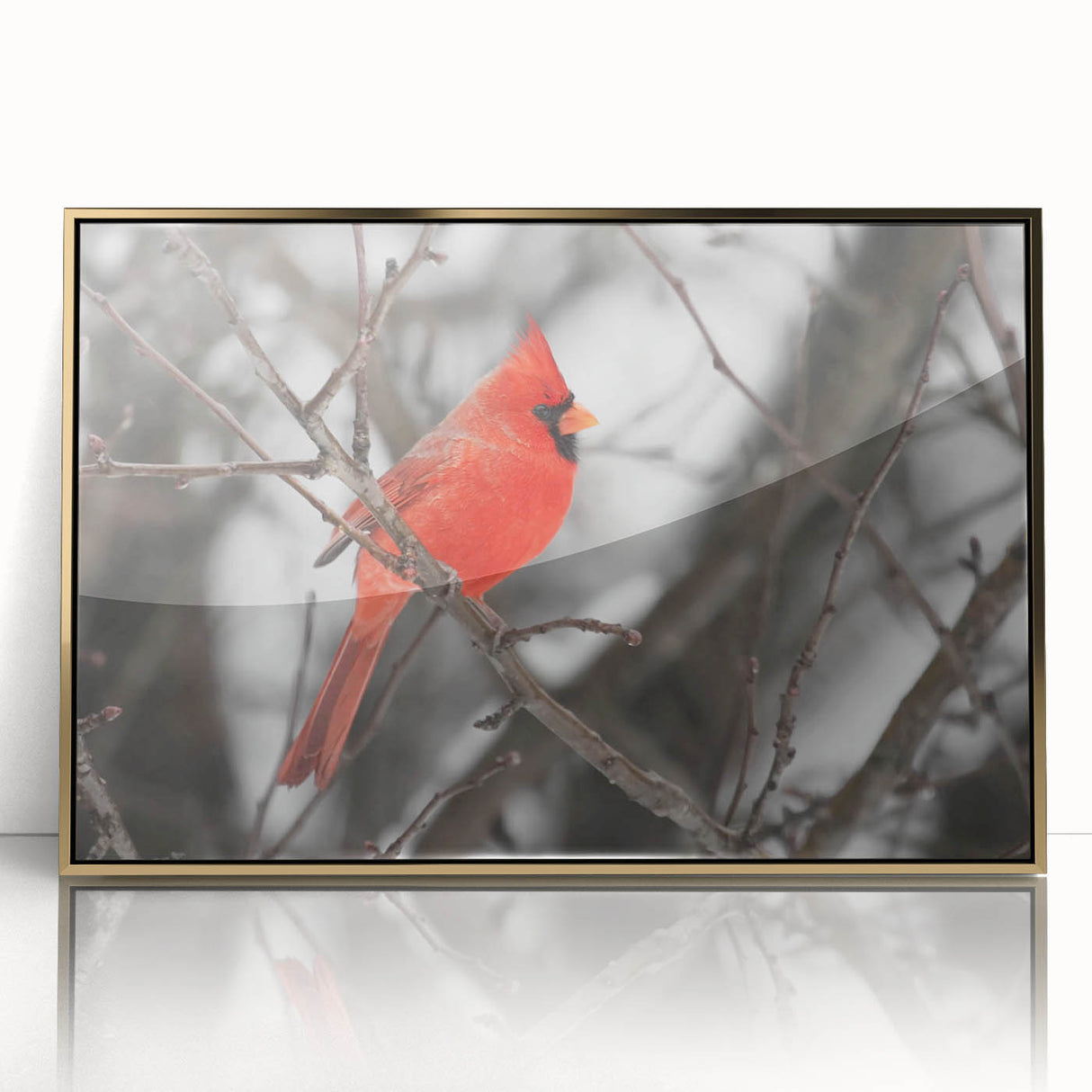 Framed wall art featuring a vibrant cardinal bird design on a gold-accented background, showcasing intricate details and a modern aesthetic for home decor.