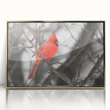 Framed wall art featuring a vibrant cardinal bird design on a gold-accented background, showcasing intricate details and a modern aesthetic for home decor.