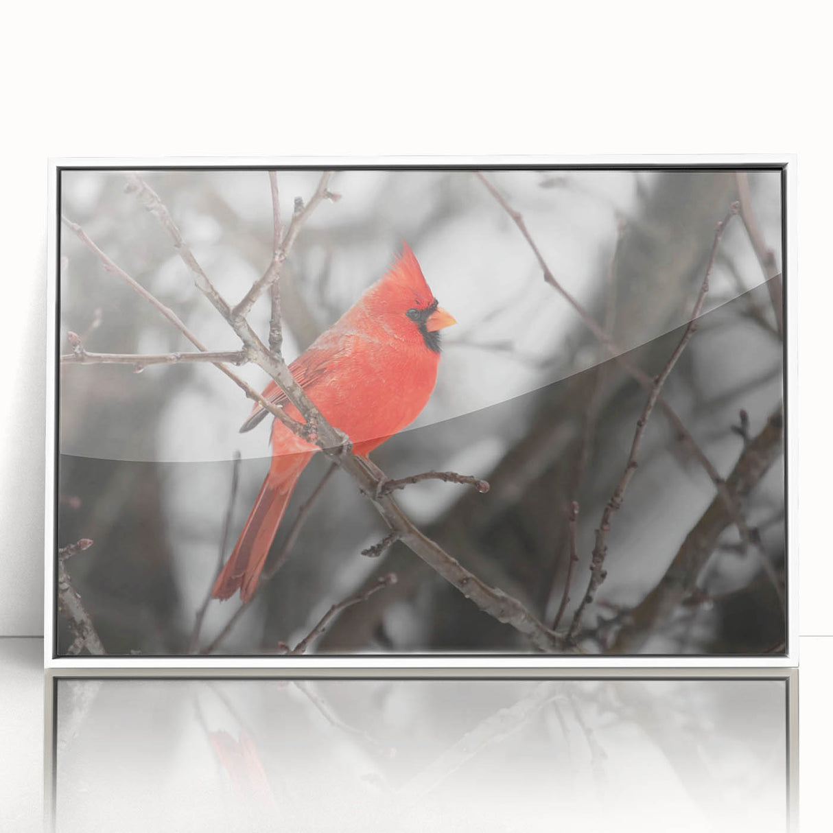 Framed acrylic wall art featuring a vibrant cardinal bird design, showcasing rich red and natural tones, ideal for enhancing home décor with a nature-inspired aesthetic.
