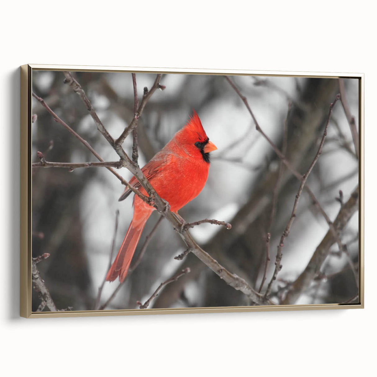 Framed canvas wall art showcasing a vibrant cardinal bird design in rich red hues, elegantly set against a gold backdrop, ideal for enhancing home decor.