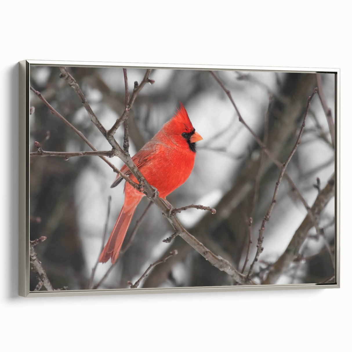 Framed wall art showcasing a vibrant cardinal bird design on canvas, featuring a sleek silver frame and side view display, perfect for home decor.