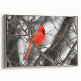 Framed wall art showcasing a vibrant cardinal bird design on canvas, featuring a sleek silver frame and side view display, perfect for home decor.
