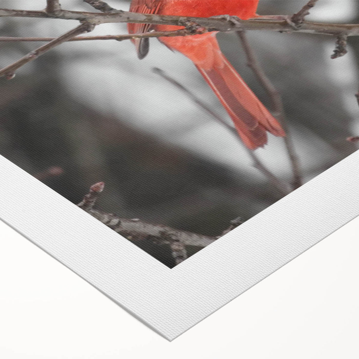 Vibrant rolled canvas wall art showcasing a detailed cardinal bird design, featuring rich red and green colors against a natural background, ideal for home decor.