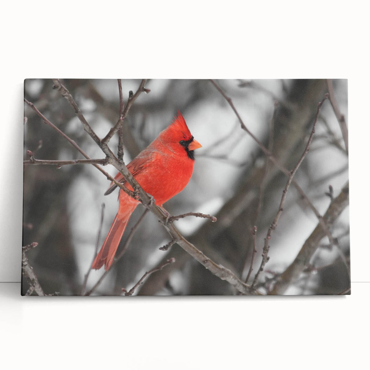 Vibrant stretched canvas wall art featuring a striking cardinal bird design, showcasing rich red and brown hues, perfect for adding a touch of nature to any decor.