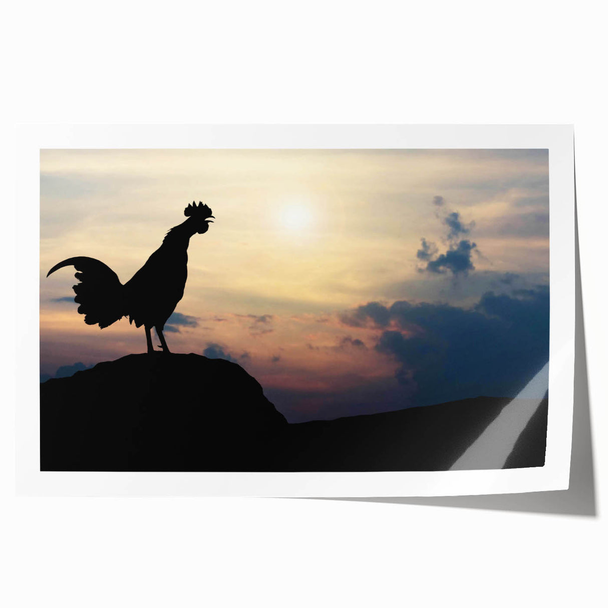 Decorative wall art print showcasing an intricate chicken design, highlighting vibrant colors and detailed patterns on a rolled canvas, perfect for home decor.