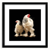 Framed wall art collection featuring a whimsical chicken design, set in a sleek black frame with a white mat, ideal for enhancing home decor or kitchen aesthetics.