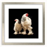 Silver-framed wall art featuring a whimsical chicken design, elegantly matted, perfect for adding a touch of charm to any home decor. This unique piece showcases vibrant colors and intricate details that capture the playful essence of farm life, making it an ideal accent for kitchens or dining areas.