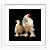 Framed wall art featuring a whimsical chicken design, set in a white mat and frame, ideal for home decor. Perfect for animal lovers and country-themed interiors.