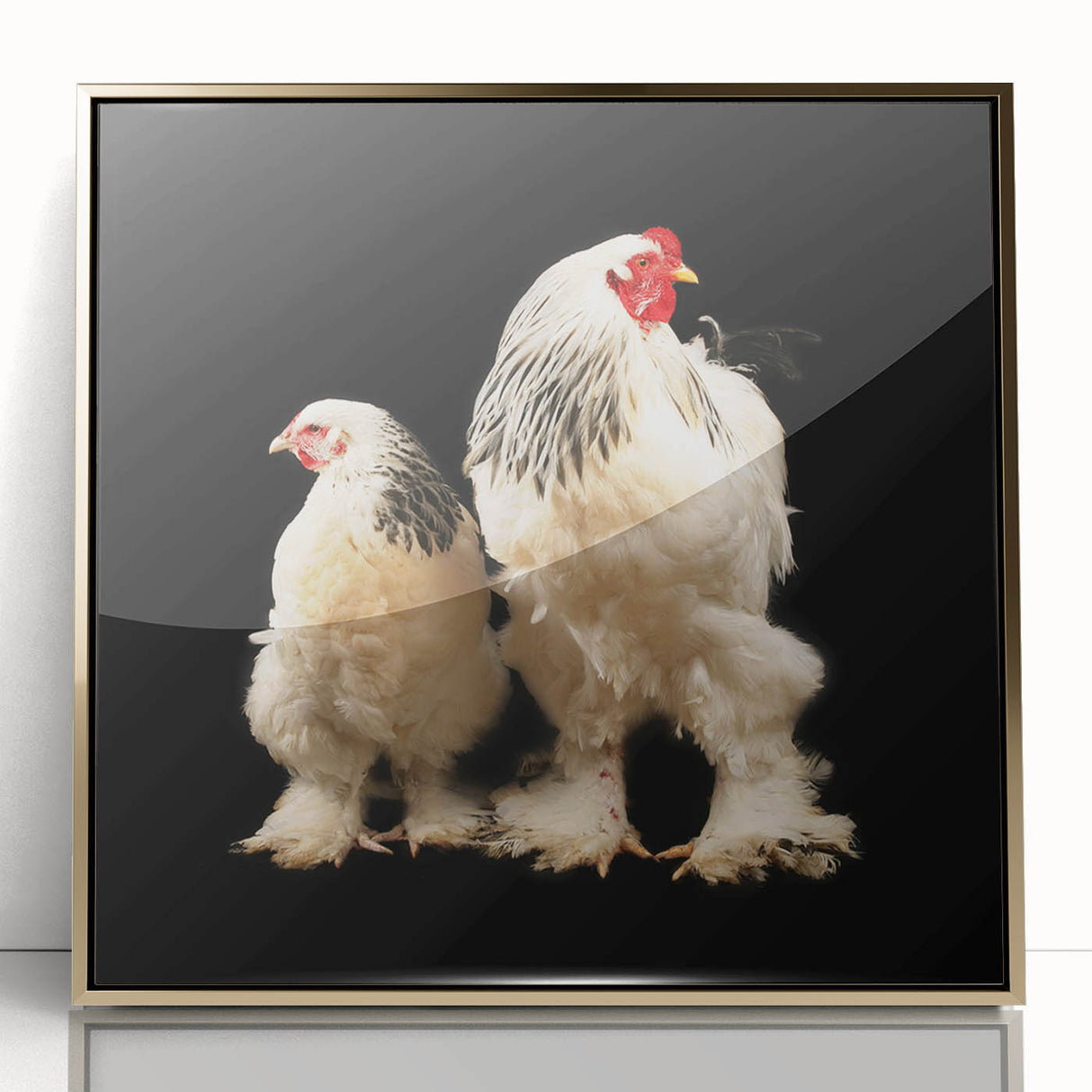 Framed wall art collection showcasing a vibrant chicken design in acrylic with a gold frame, ideal for adding a touch of color and charm to home decor.