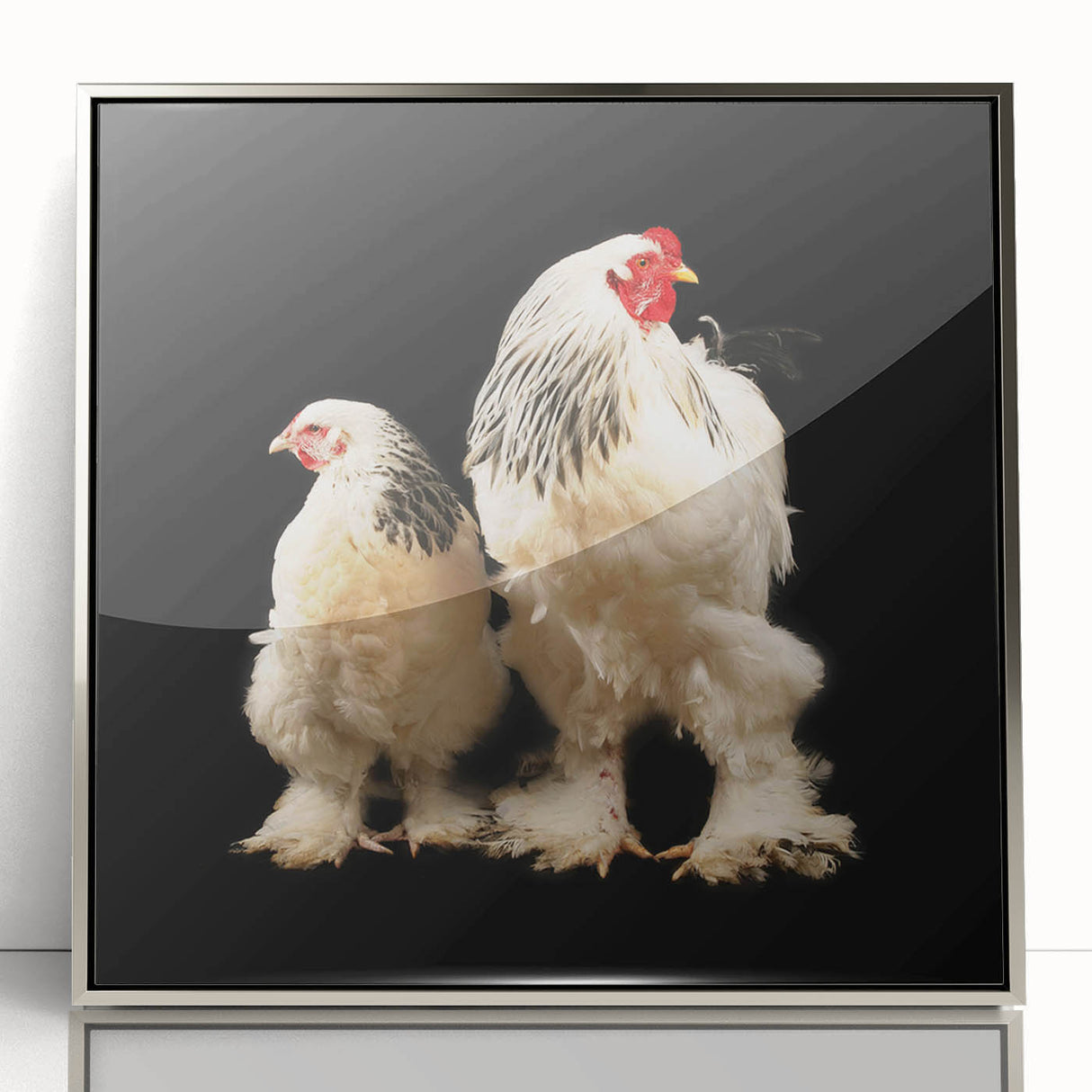 Framed wall art featuring a whimsical chicken design in vibrant colors, displayed in a sleek silver frame, perfect for adding charm to any home decor.
