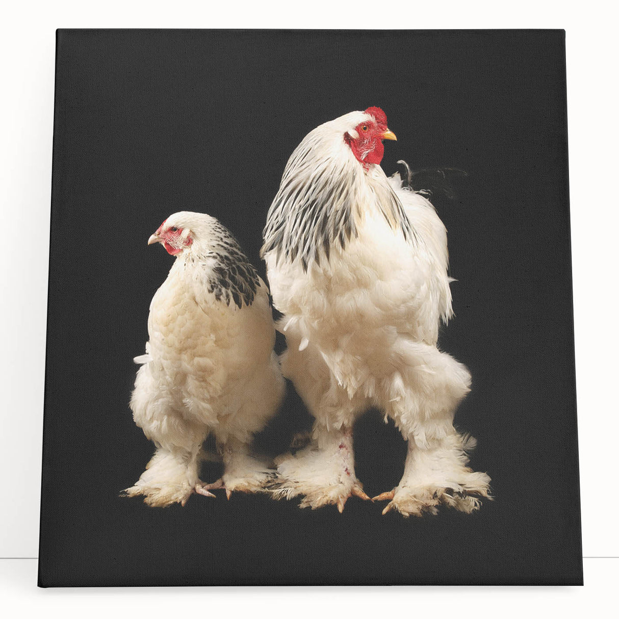 Stretched canvas wall art showcasing a vibrant chicken design, featuring bold colors and playful details, perfect for adding a whimsical touch to any room decor.