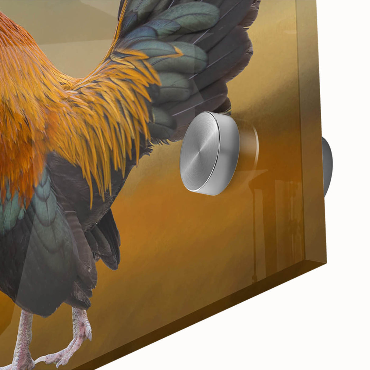 Close-up of a vibrant acrylic glass wall art piece showcasing a colorful chicken design, ideal for home decor, featuring intricate details and a glossy finish.