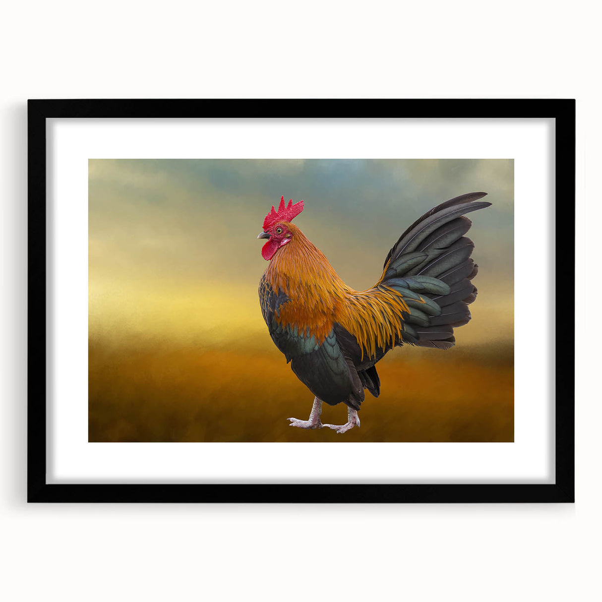 Framed wall art featuring a vibrant chicken design in a black frame with matting, perfect for adding a whimsical touch to home decor. Ideal for poultry enthusiasts and art lovers alike.