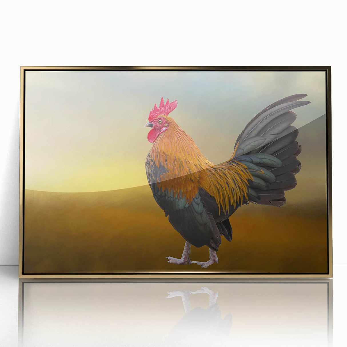 Framed wall art featuring a vibrant chicken design in an acrylic finish, showcasing gold accents and a modern aesthetic, perfect for kitchen decor.