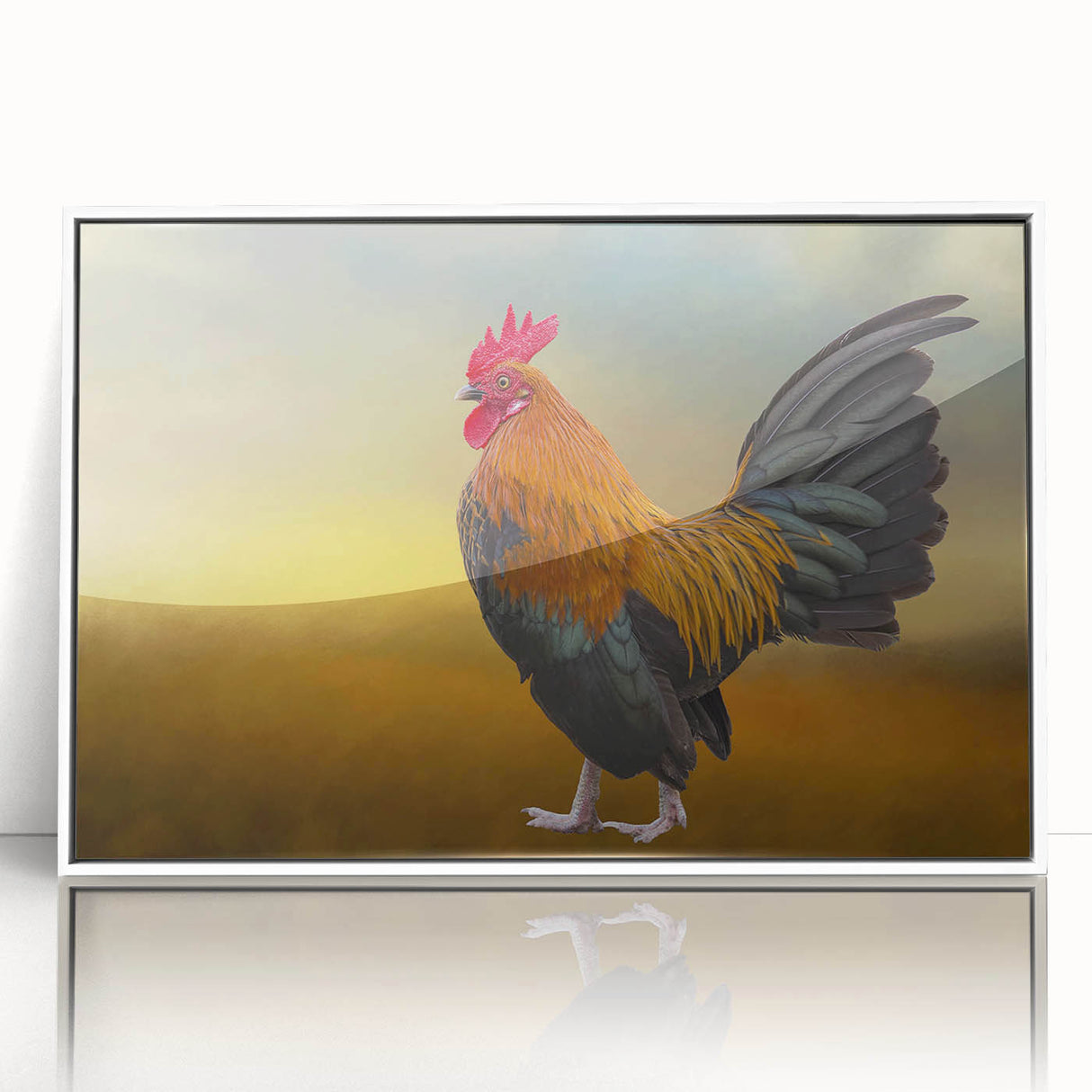 Framed acrylic wall art featuring a whimsical chicken design, showcased in a sleek white frame, perfect for adding a playful touch to home decor. Ideal for animal lovers and unique art enthusiasts.