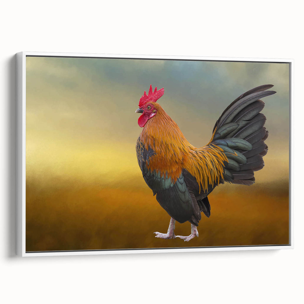 Framed canvas wall art showcasing a vibrant chicken design, featuring bold colors and intricate details against a white background, perfect for modern decor.