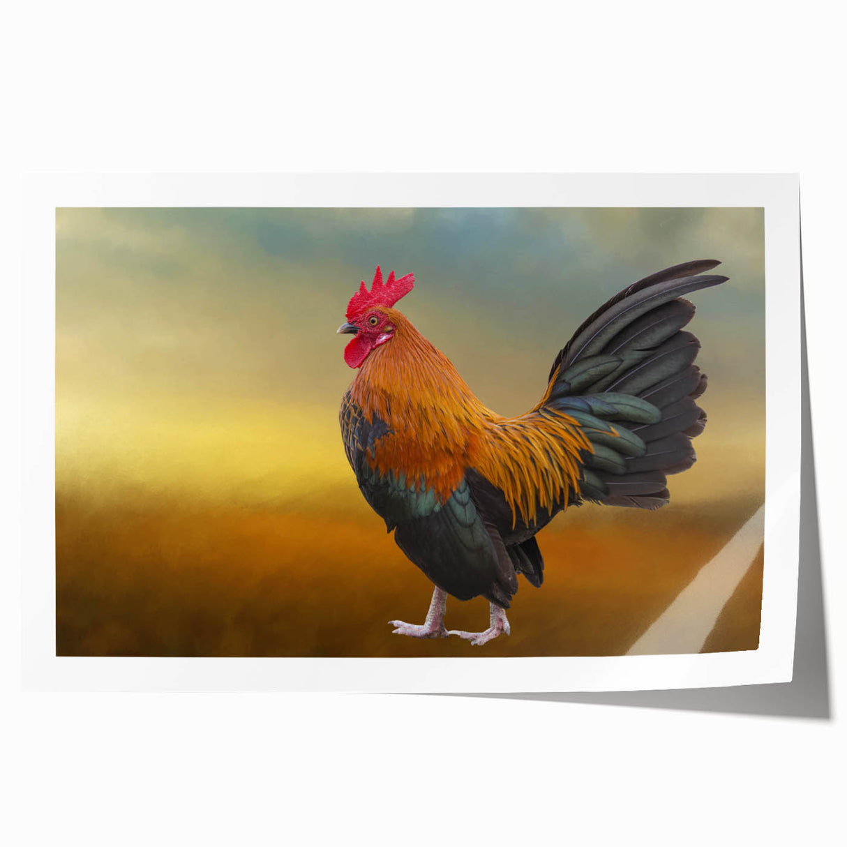 Colorful wall art print featuring whimsical chicken designs, perfect for rustic decor, showcasing vibrant colors and playful illustrations on a rolled canvas. Ideal for adding charm to kitchens or dining areas.