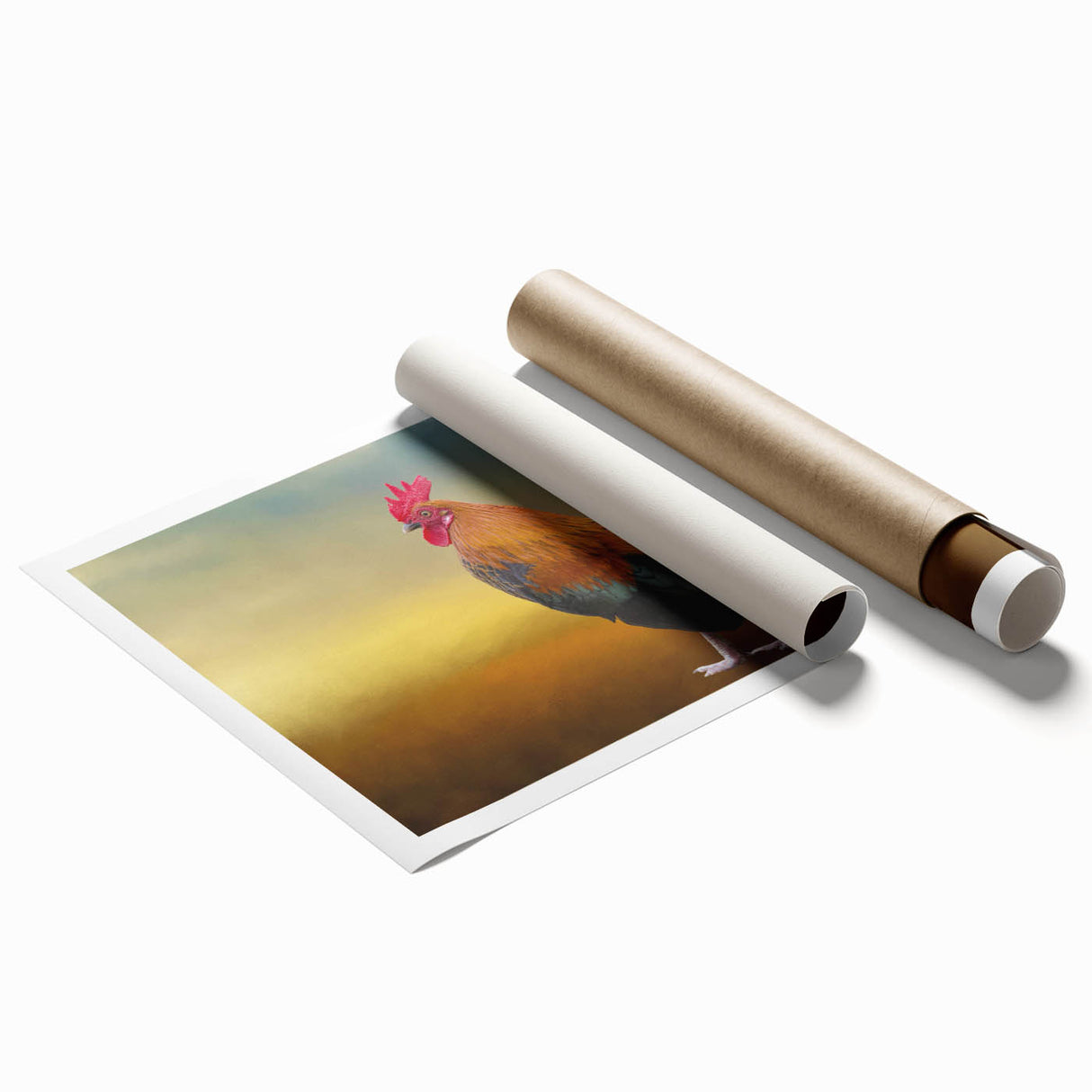 Colorful wall art print featuring a whimsical chicken design, rolled and packaged in protective cardboard. Ideal for adding a playful touch to home decor.